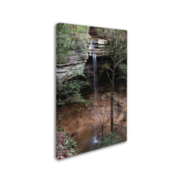 Kurt Shaffer 'Ash Cave Falls In April' Canvas Art,12x19